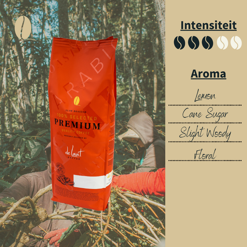 Koffiebonen test 2,5