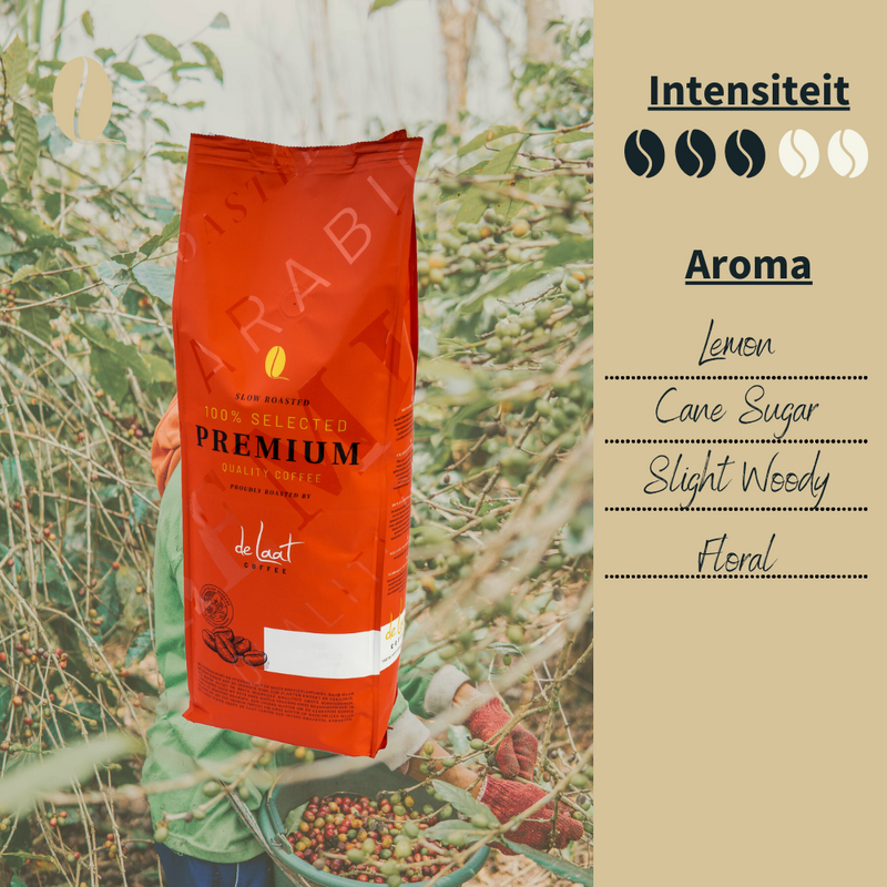 Koffiebonen test 2,5